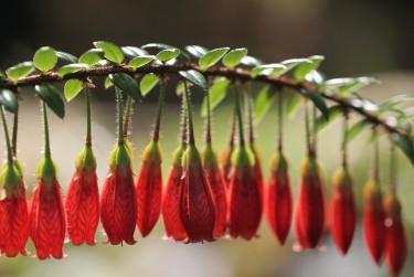 肇庆鼎湖区7私人快速借钱网，轻松解决资金难题