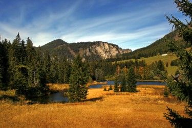 肇庆鼎湖区7民间私贷攻略：揭秘低成本借贷的秘密